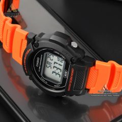 کاسیو مردانه Casio W-219H-4AV
