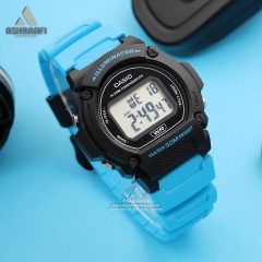 خرید و قیمت کاسیو اصلی Casio W-219H-2A2V