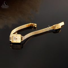 قفل و بند ساعت زنانه دنیل ولینگتون Daniel Wellington Mini GG1