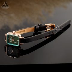قفل و بند ساعت دنیل ولینگتون Daniel Wellington Mini RgKG1