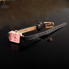 قفل و بند ساعت زنانه دنیل ولینگتون Daniel Wellington Mini RgKP1