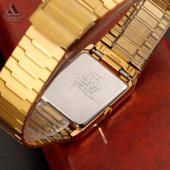 درب پشت ساعت Citizen 6031-G01691 Y