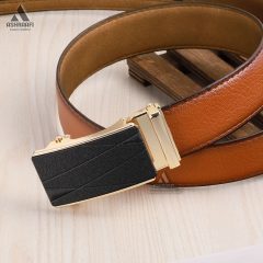 کمربند قهوه ای ریلی