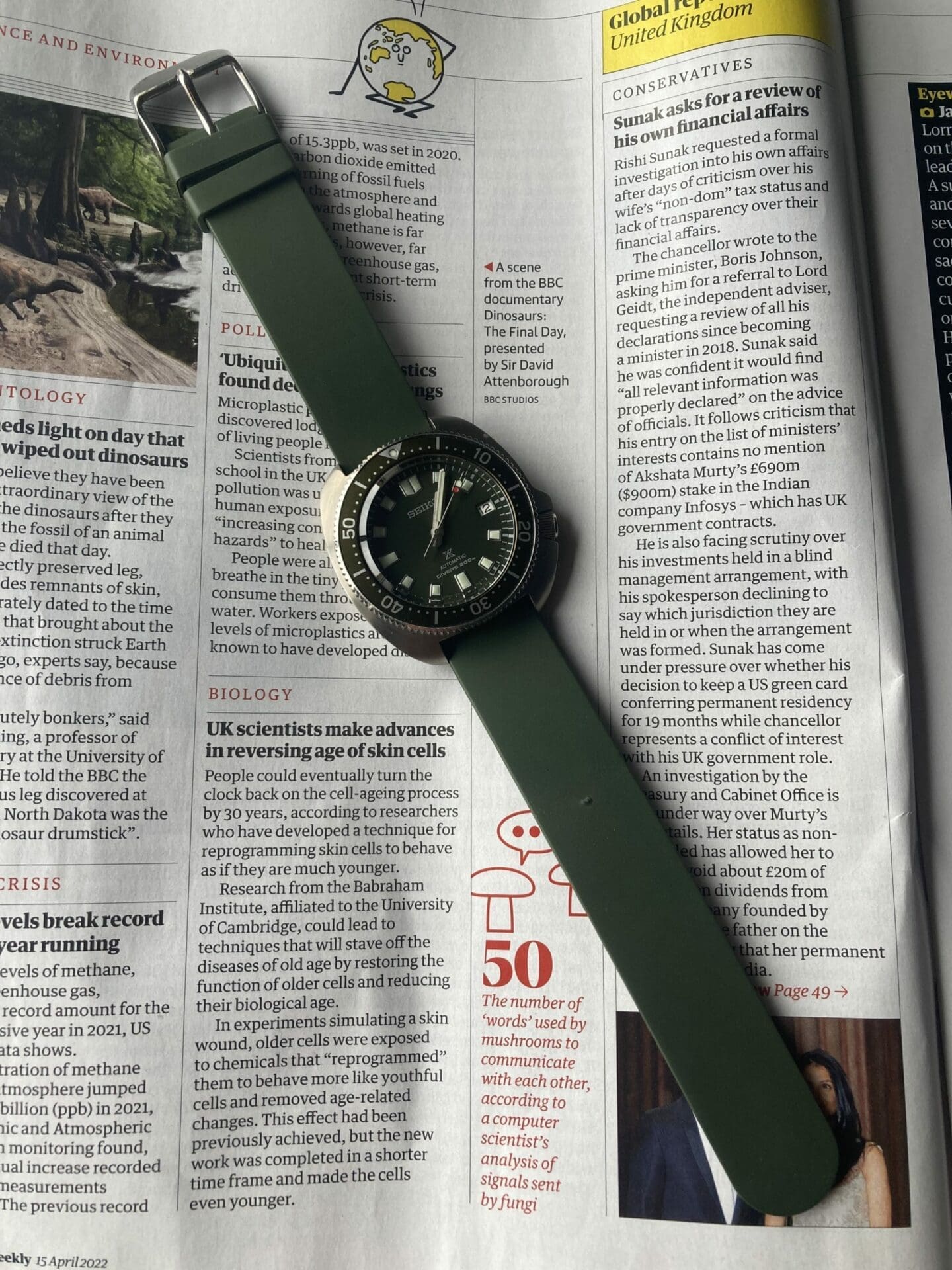 تصویری از بند ساعت بونتو سینتورینی (Bonetto Cinturini) مدل 270