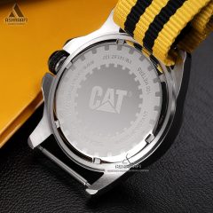Cat-YW.141.67.137-03 Cat YW.141.67.137