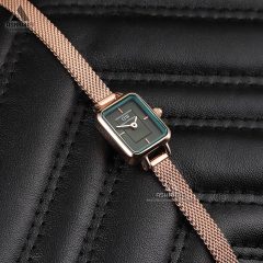 ساعت زنانه دنیل ولینگتون Daniel Wellington Mini RGG1