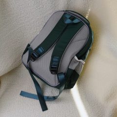 کوله پشتی کودک مدل قورباغه