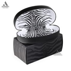 کیف عینک روبرتو کاوالی