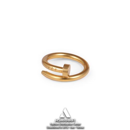 انگشتر میخی Nail Ring SG01
