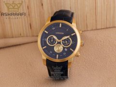 Citizen 18135G