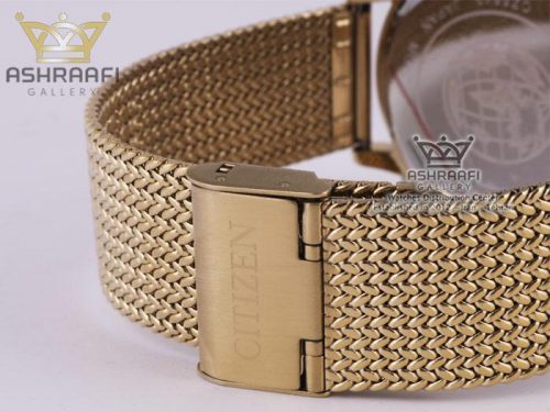 قفل ساعت Citizen CZ5543